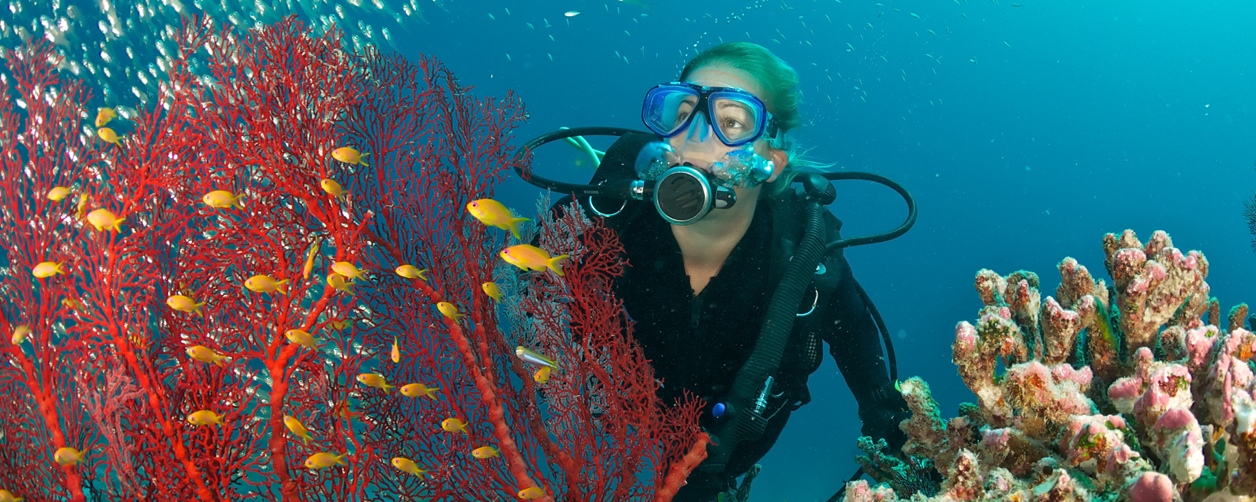 From Sal to Boa Vista: Diving spots in Cape Verde | Edelweiss